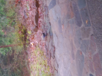 wp_20151228_002.jpg
